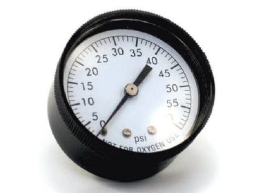 Pressure Gauge - Back Mount